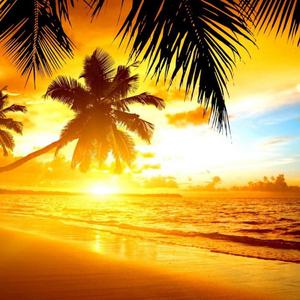 Island of dreams