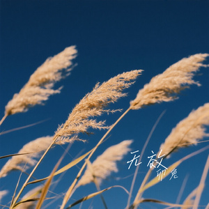 无效