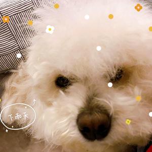 Post Malone-Circle(Remix)（NewZ remix）