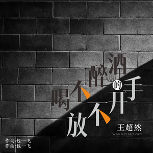 喝不醉的酒放不开的手 (DJ永强版)