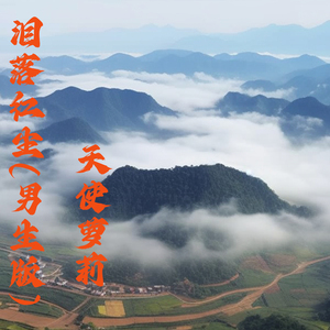 落泪红尘 (男生版)