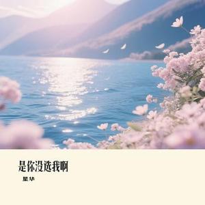 没有心思想其他 (星华 Remix)