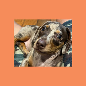 FATHER STRETCH MY HANDS