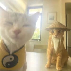 等不到你回头 也舍不得先走