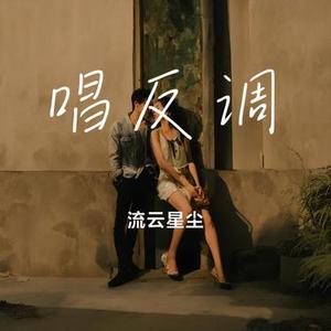 唱反调
