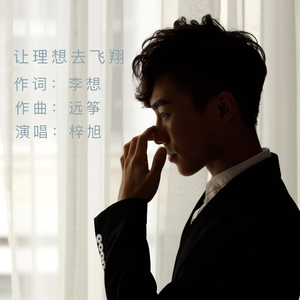 让理想去飞翔