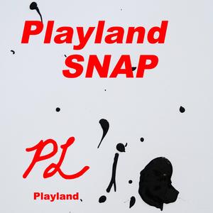 Playland SNAP