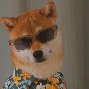 我想你能够知道