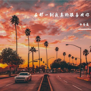 在那一刻我真的很喜欢你