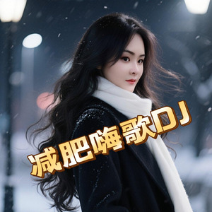 减肥嗨歌DJ