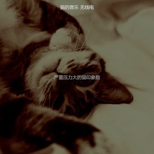 温和压力大的猫梦想