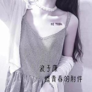 狗尾草（DJ弹鼓版）