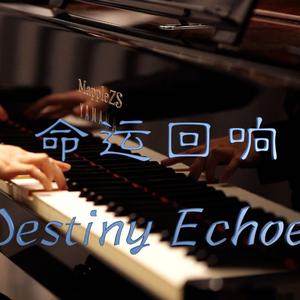 命运回响（Destiny Echoes）