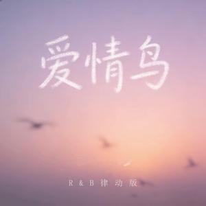 爱情鸟 (R&B律动版)