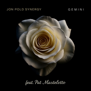 GEMINI (Extended version)