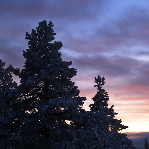 我不再打扰你了