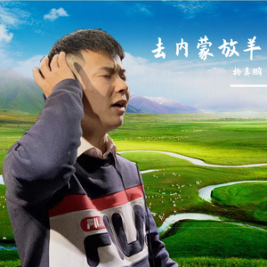 去内蒙放羊（重低音）