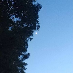 偷走（prod by FRESH_ye）