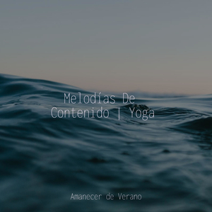 Viaje Melódico Embelesado