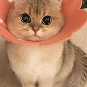 we don t talk anumore