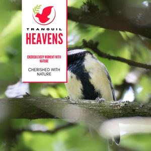 Rain after Math at Cave Entrance