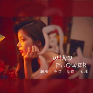 妈妈木-Wind Flower（布丁丁 remix）