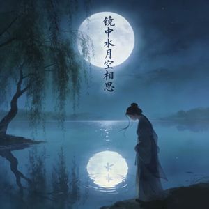 镜中水月空相思