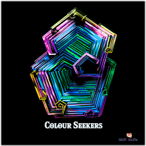 Colour Seekers
