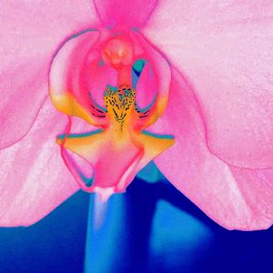 淮海写生集 Prod. by 4Hunnid