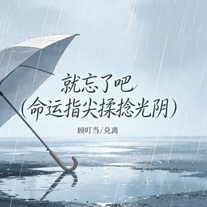就忘了吧（命运指尖揉捻光阴）