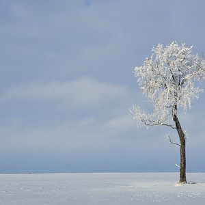 光に向かって走る