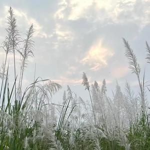 你不知道她在你身后