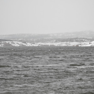 Sessizliğin kıyısında