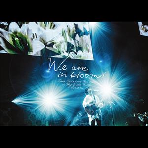 最後の花火 (Live Tour 2021 "We are in bloom!" at Tokyo Garden Theater)