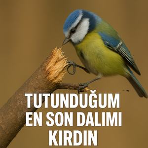 Tutunduğum En Son Dalımı Kırdın