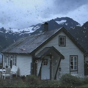 在下午五点的时候跟家里的黑猫一起在田里吹风晒太阳