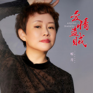 爱情盗贼 (DJ默涵版伴奏)