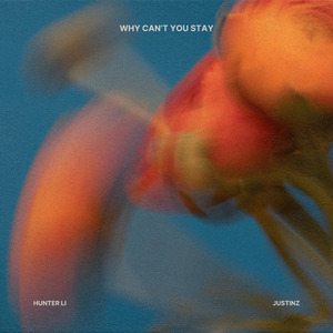 Why Can't You Stay