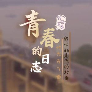 青春的日志