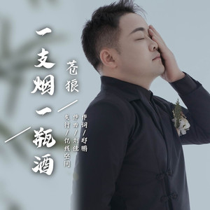 一支烟 一瓶酒 (伴奏)