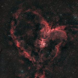 Suara Jangkrik Jernih (Live)