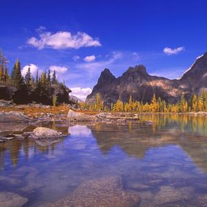 希望看到你的前途一片光明