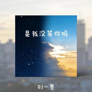 是我没等你吗