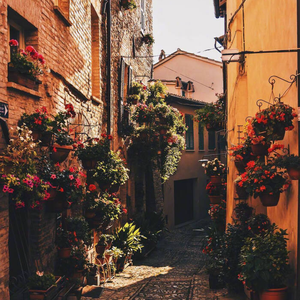 【HB to Mom】传奇