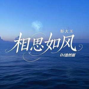 相思如风 (DJ浩然版)