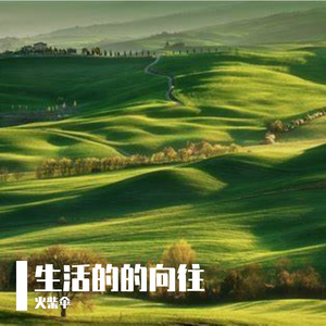 篮球的激情