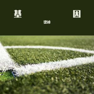 降A即兴曲
