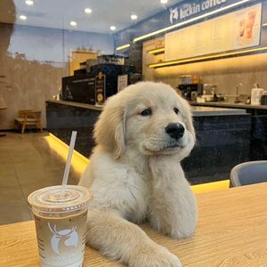 把明天还给我-黄伟豪