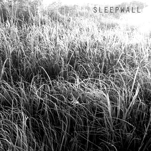 Sleepwalkers