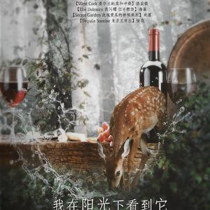 我在阳光下看到它